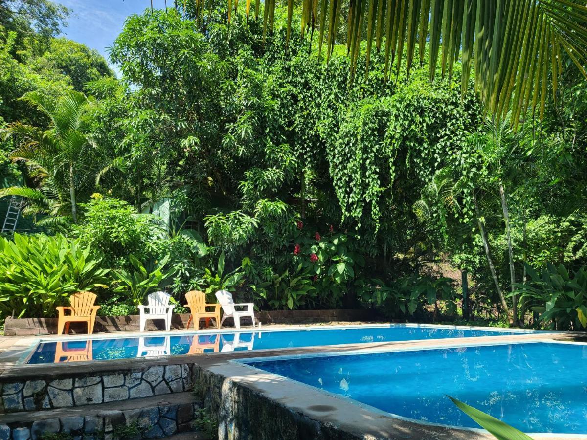 הוסטל אל זונטה Hammock Plantation מראה חיצוני תמונה